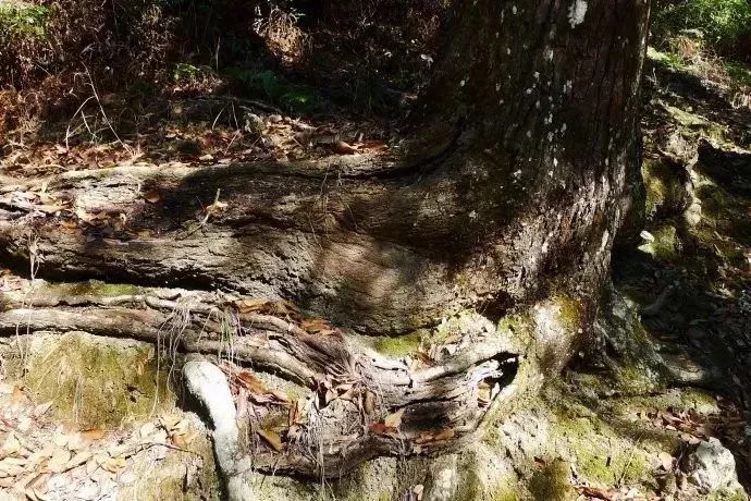 西安太白山旅游攻略一日游_西安太白山自驾游攻略_西安太白山旅游攻略