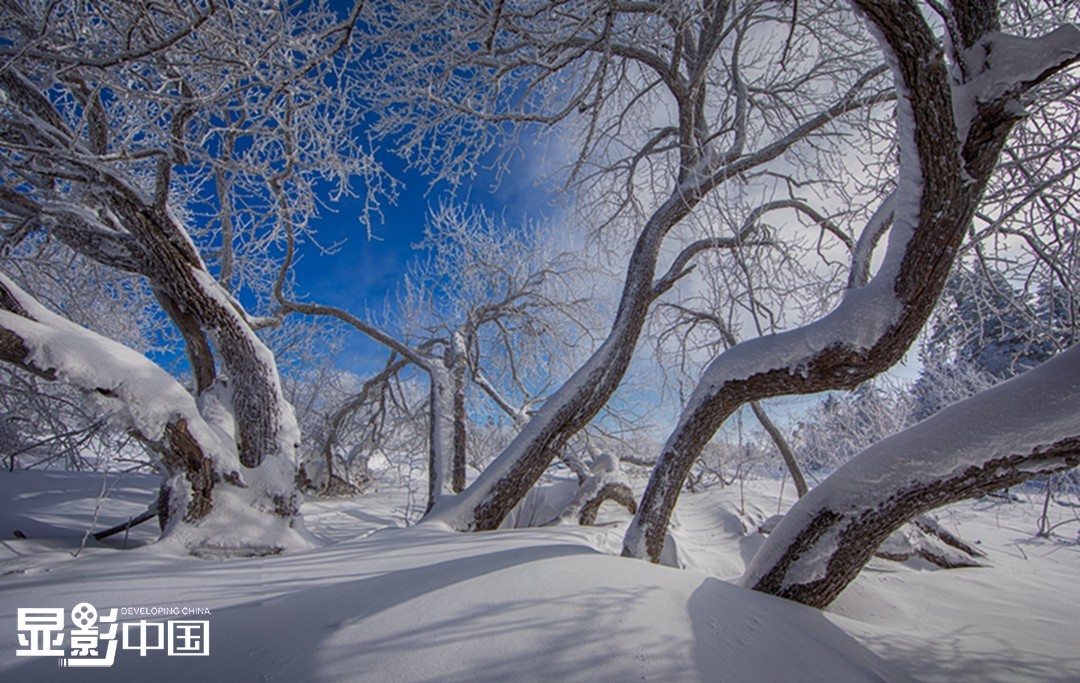 海林雪乡旅游攻略_黑龙江海林市雪乡文化_海林怎么去雪乡