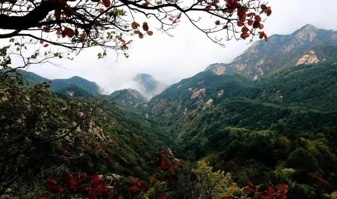 蓝田值得玩的景点_蓝田好玩的景点有哪些_蓝田景点