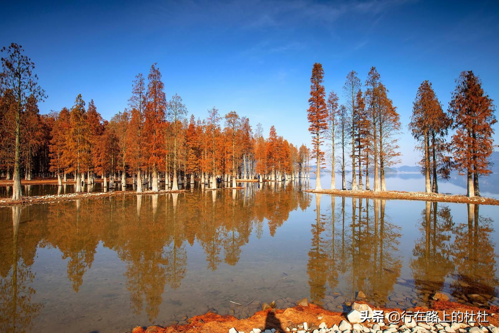 好玩景点余姚有哪些地方_余姚主要景点_余姚那里有好玩的景点