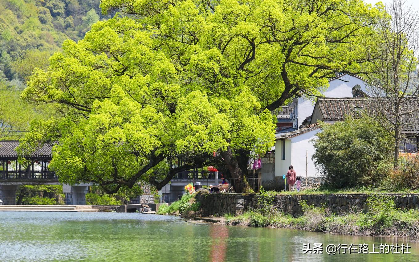 余姚主要景点_余姚那里有好玩的景点_好玩景点余姚有哪些地方