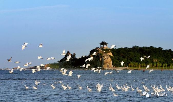 南戴河旅游攻略一日游_南戴河游记_南戴河旅游团三日游价格