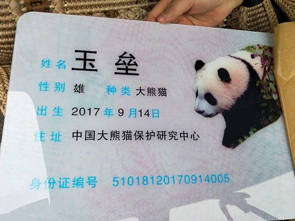 都江堰 都江堰旅游I不能错过的八个打卡地（附攻略）