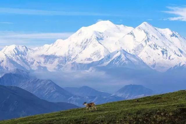 排行榜国外旅游公司_国外旅游排行前十_国外旅游排行榜