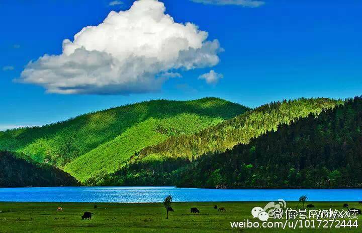 丽江香格里拉旅游线路报价_丽江攻略旅游香格里拉最佳路线_丽江香格里拉旅游攻略