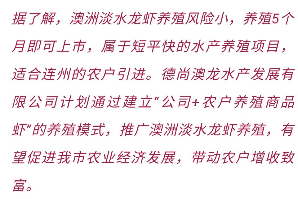 骗局澳洲龙虾淡水养殖是真的吗_澳洲淡水龙虾养殖效益_澳洲淡水龙虾养殖骗局