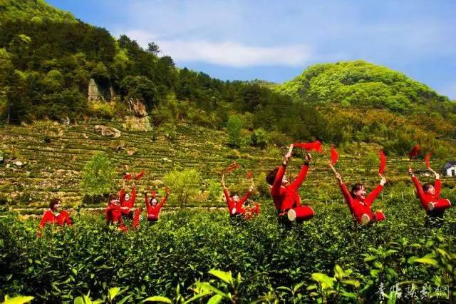 《望九华山》_九华山望华禅寺怎么样_九华山旅游攻略之望华禅寺