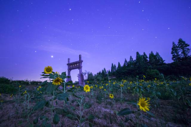 《望九华山》_九华山望华禅寺怎么样_九华山旅游攻略之望华禅寺