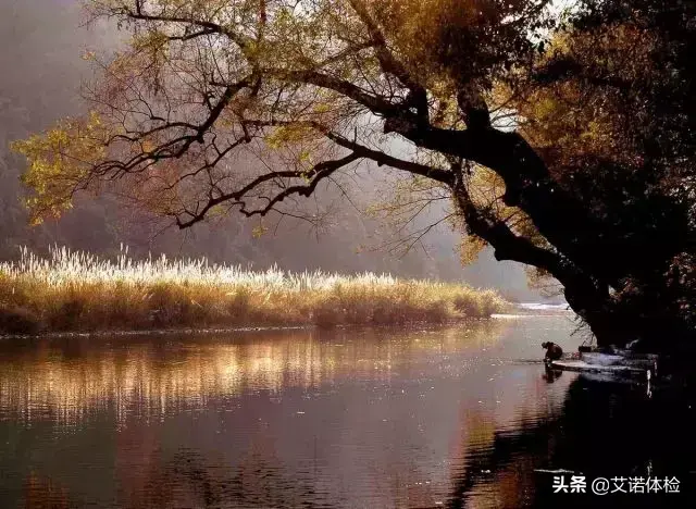 九华山旅游攻略之望华禅寺_望华禅寺在哪里_九华山望华禅寺法名释义学