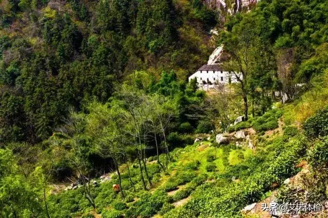 九华山旅游攻略之望华禅寺_九华山望华禅寺法名释义学_望华禅寺在哪里