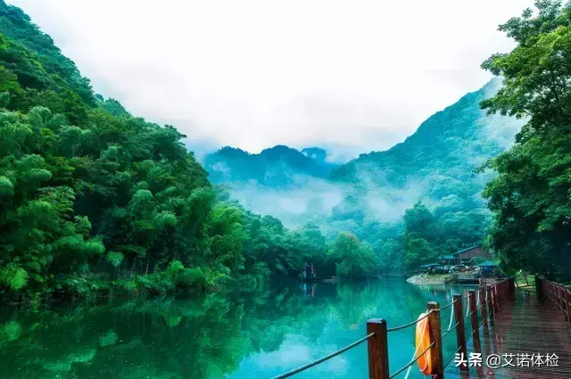 九华山望华禅寺法名释义学_九华山旅游攻略之望华禅寺_望华禅寺在哪里