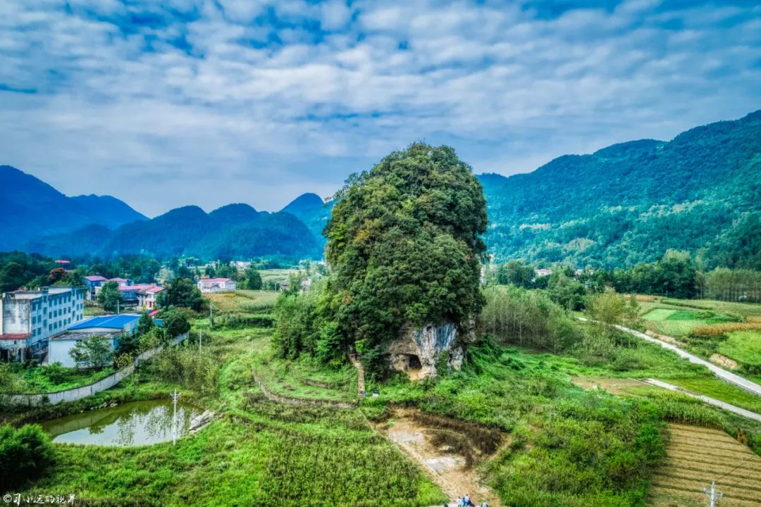 夏天国外旅游去哪好_夏天去哪个国家玩最好_夏天去哪里旅游凉快国外