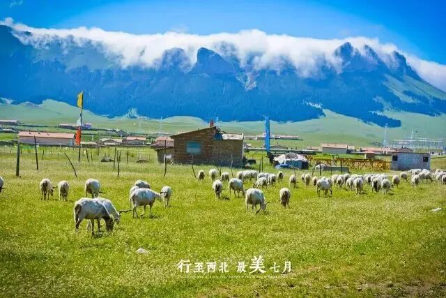 夏天去哪里旅游凉快国外_夏天国外旅游去哪好_夏天去哪个国家玩最好