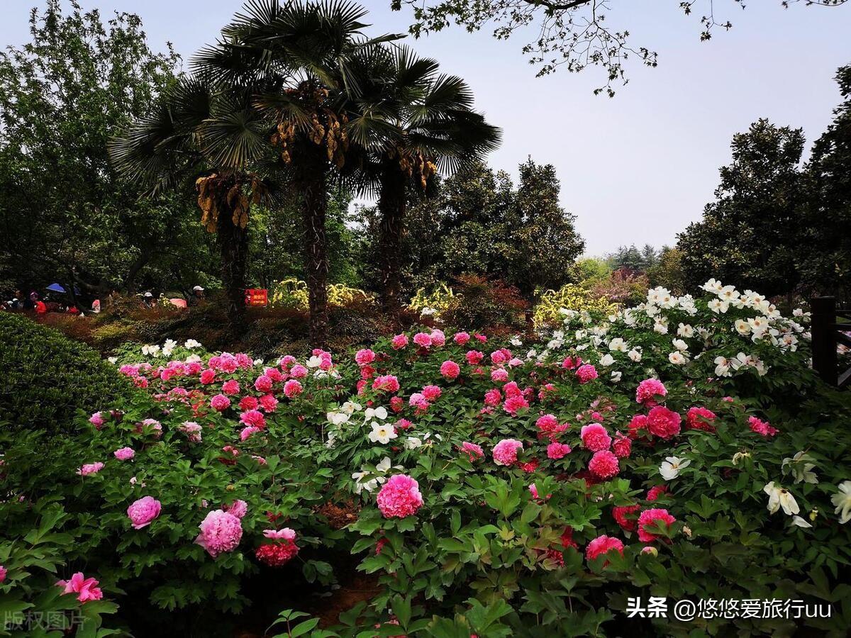 洛阳好玩儿的景点_洛阳必玩景区_洛阳好玩的景点