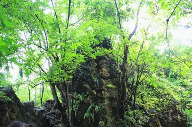 到黄果树瀑布旅游价格_到黄果树瀑布旅游攻略_黄果树瀑布景区要走多久