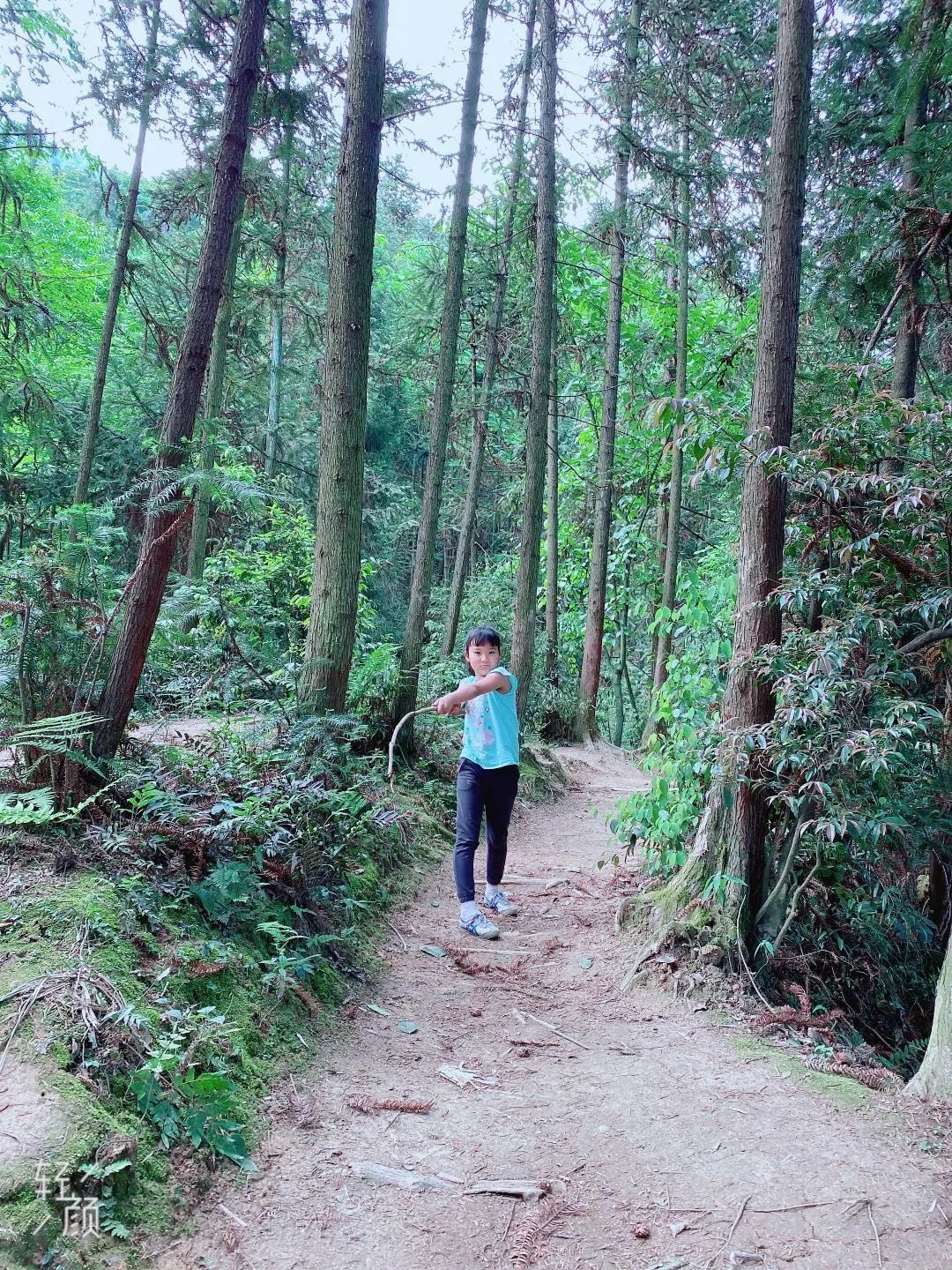 攻略成都旅游赵公山景区_成都赵公山旅游攻略_成都赵公山旅游项目投资