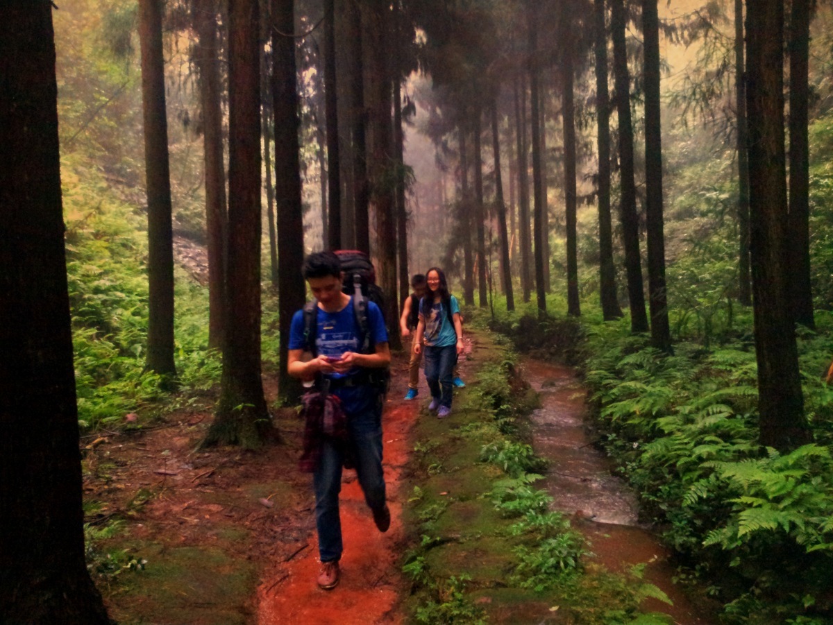 成都赵公山旅游攻略_攻略成都旅游赵公山景区_成都赵公山旅游项目投资