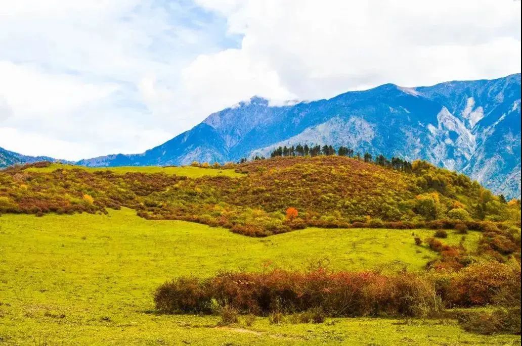 成都赵公山旅游项目投资_攻略成都旅游赵公山景区_成都赵公山旅游攻略