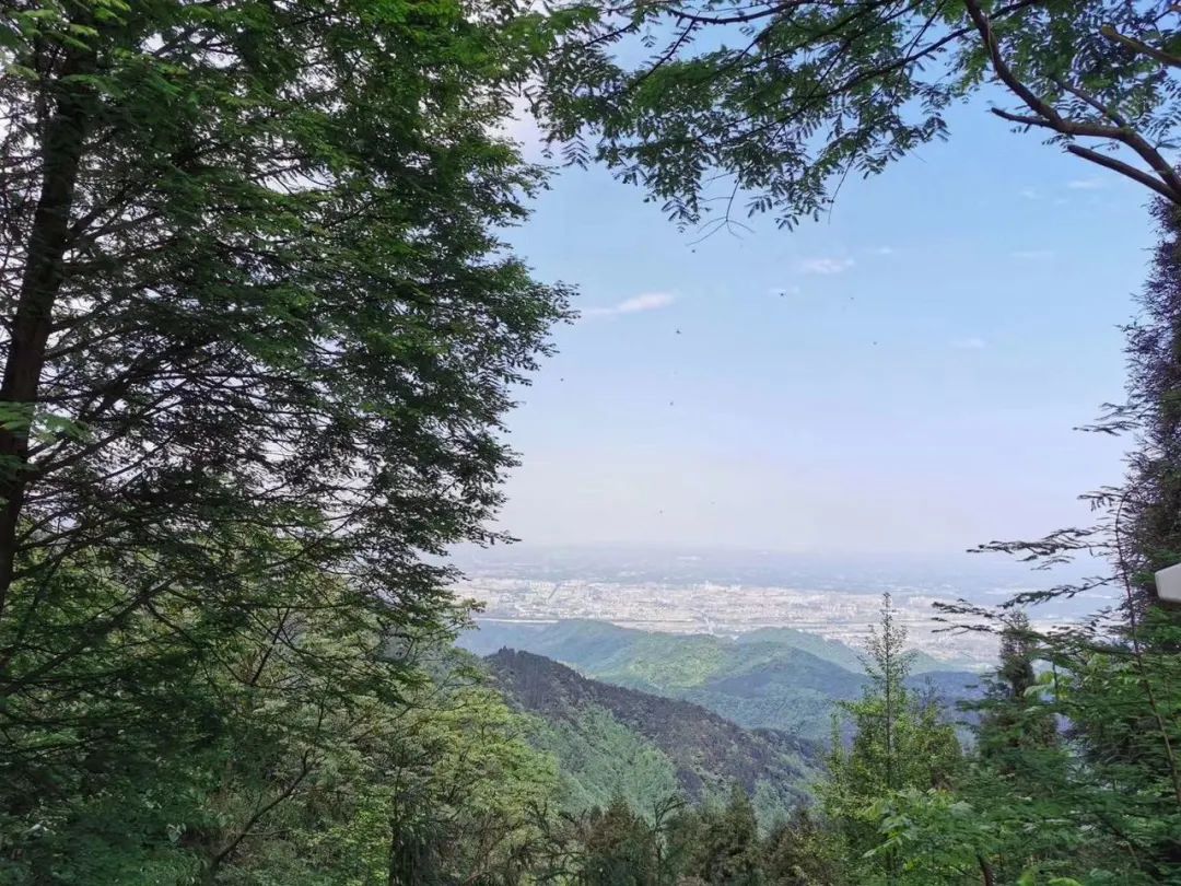 成都赵公山旅游项目投资_攻略成都旅游赵公山景区_成都赵公山旅游攻略