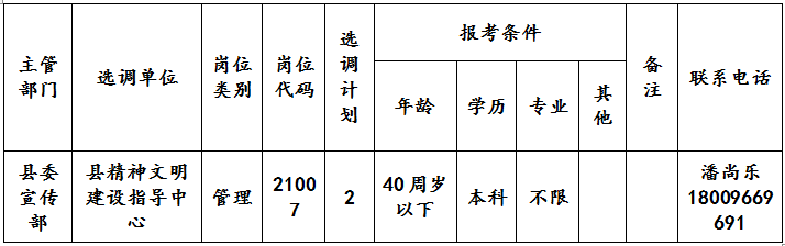 2024年中共安庆市迎江区委党校公开选调专业技术人员公告