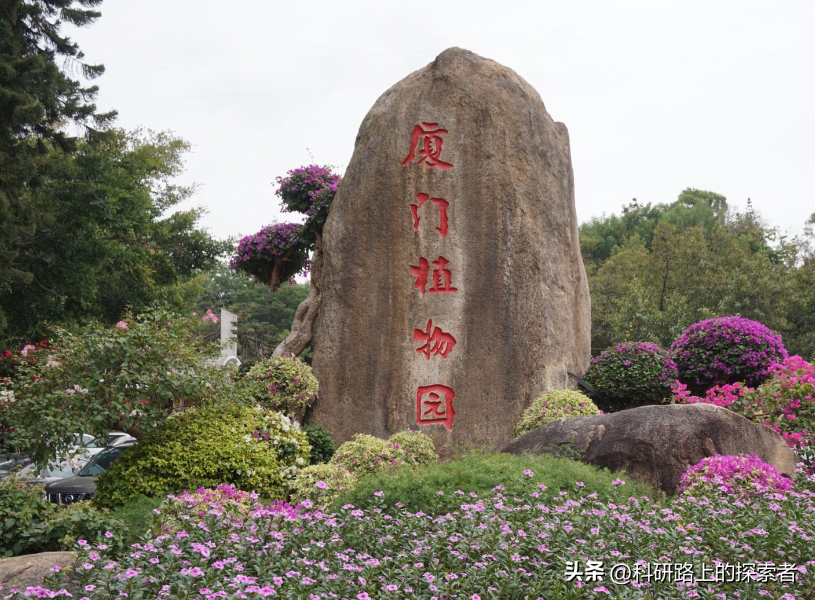 厦门好的景点_厦门好玩的景点_厦门值得玩的景点