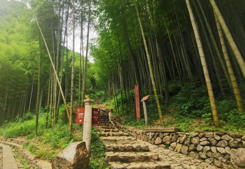 五泄风景图片_五泄风景区玩多久_五泄风景区旅游攻略