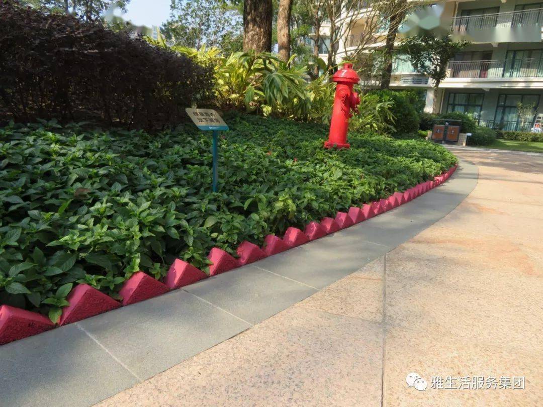 成都房地产行业招聘电话_成都房产公司工程师招聘_成都房地产公司招聘岗位