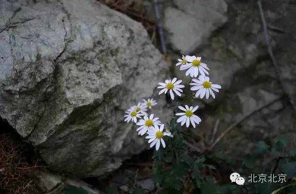 青龙峡旅游攻略_青龙峡景区_青龙峡的位置