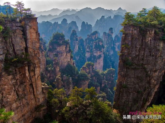 张家界天门山森林公园简介_张家界天门山森林公园在哪里_张家界国家森林公园和天门山哪个好玩