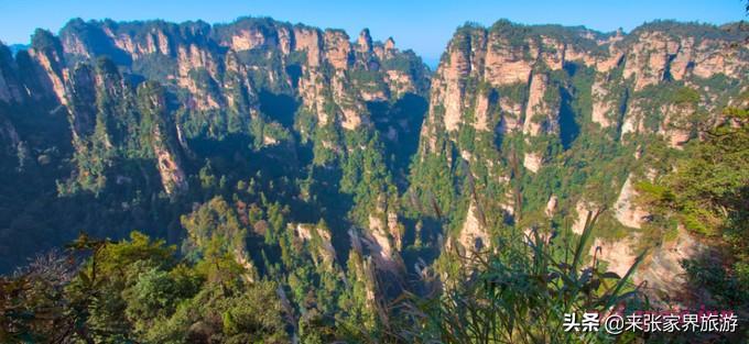 张家界国家森林公园和天门山哪个好玩_张家界天门山森林公园在哪里_张家界天门山森林公园简介