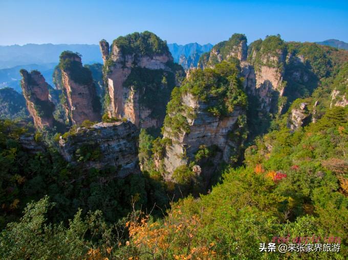 张家界国家森林公园和天门山哪个好玩_张家界天门山森林公园在哪里_张家界天门山森林公园简介