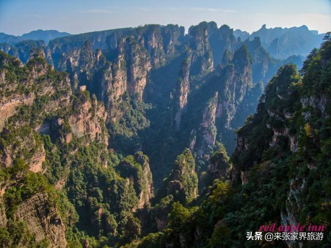 张家界天门山森林公园简介_张家界国家森林公园和天门山哪个好玩_张家界天门山森林公园在哪里