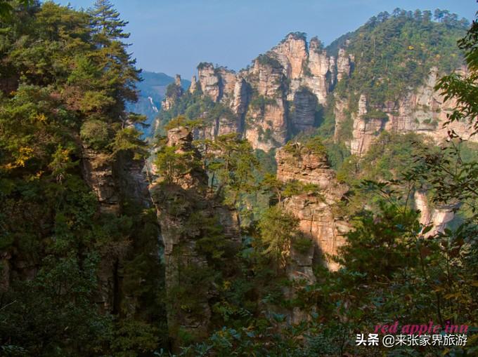 张家界天门山森林公园简介_张家界天门山森林公园在哪里_张家界国家森林公园和天门山哪个好玩