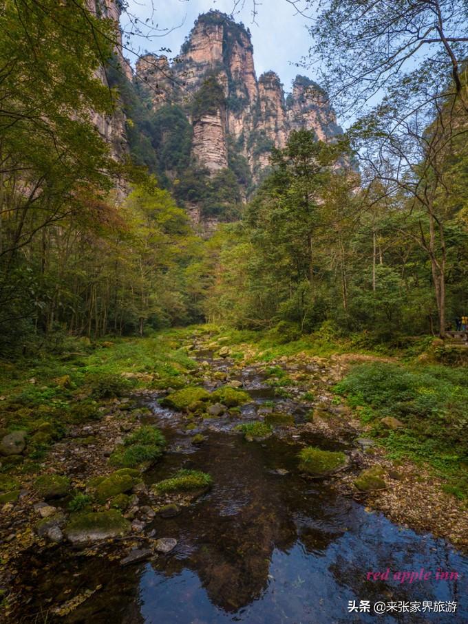 张家界国家森林公园和天门山哪个好玩_张家界天门山森林公园在哪里_张家界天门山森林公园简介