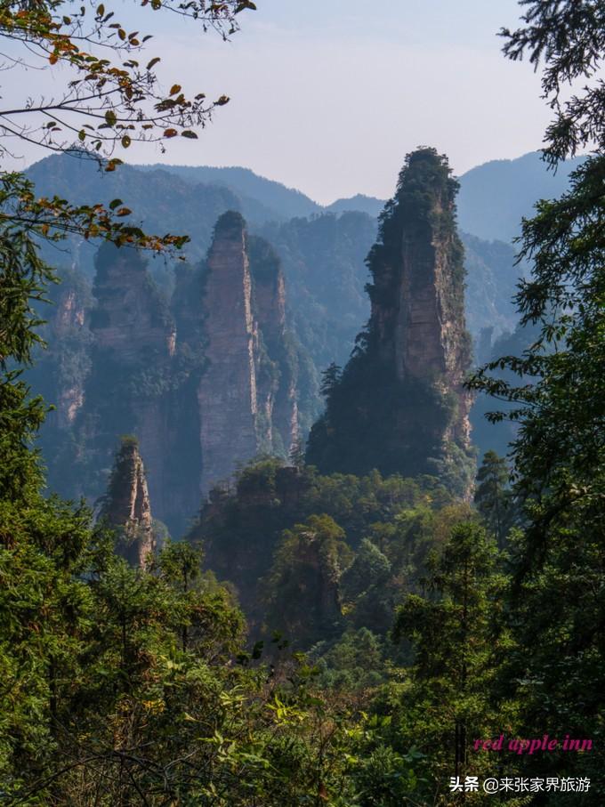 张家界国家森林公园和天门山哪个好玩_张家界天门山森林公园简介_张家界天门山森林公园在哪里