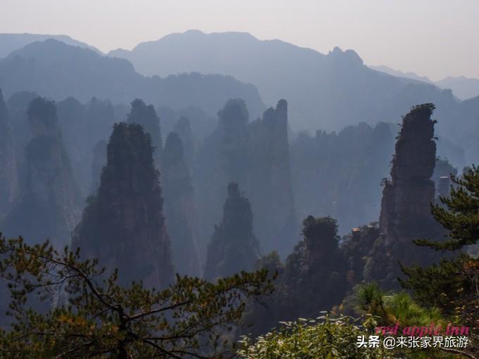 张家界天门山森林公园简介_张家界天门山森林公园在哪里_张家界国家森林公园和天门山哪个好玩