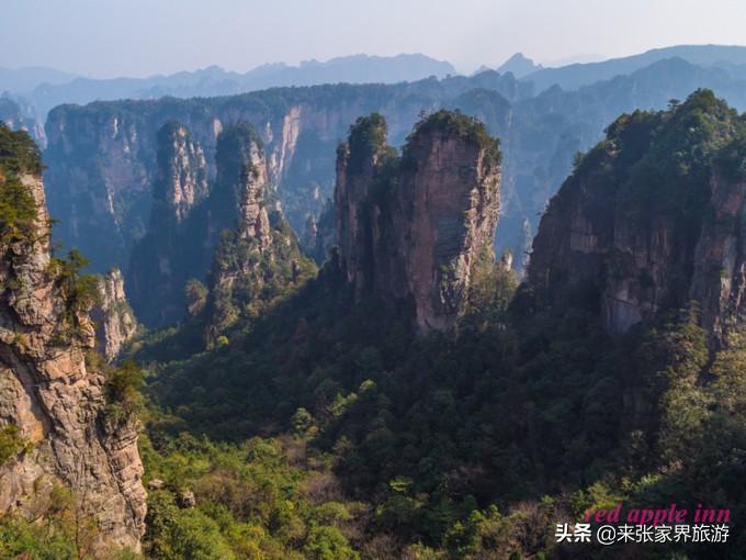 张家界天门山森林公园简介_张家界国家森林公园和天门山哪个好玩_张家界天门山森林公园在哪里