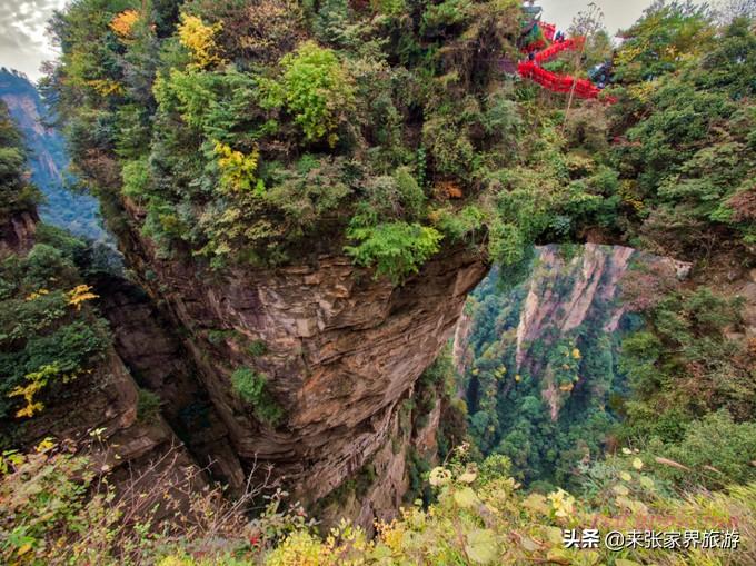 张家界天门山森林公园在哪里_张家界天门山森林公园简介_张家界国家森林公园和天门山哪个好玩