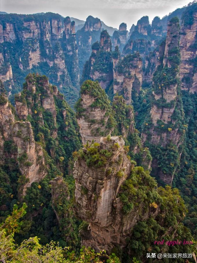 张家界天门山森林公园在哪里_张家界天门山森林公园简介_张家界国家森林公园和天门山哪个好玩