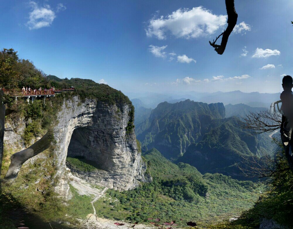 张家界国家森林公园和天门山哪个好玩_张家界天门山森林公园简介_张家界天门山森林公园在哪里