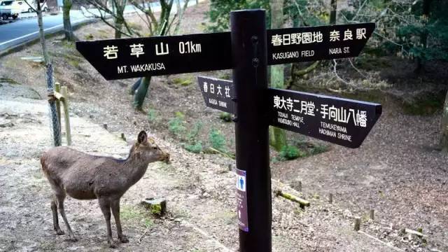 旅游圣地国外_国外旅游打卡圣地_旅行胜地国外