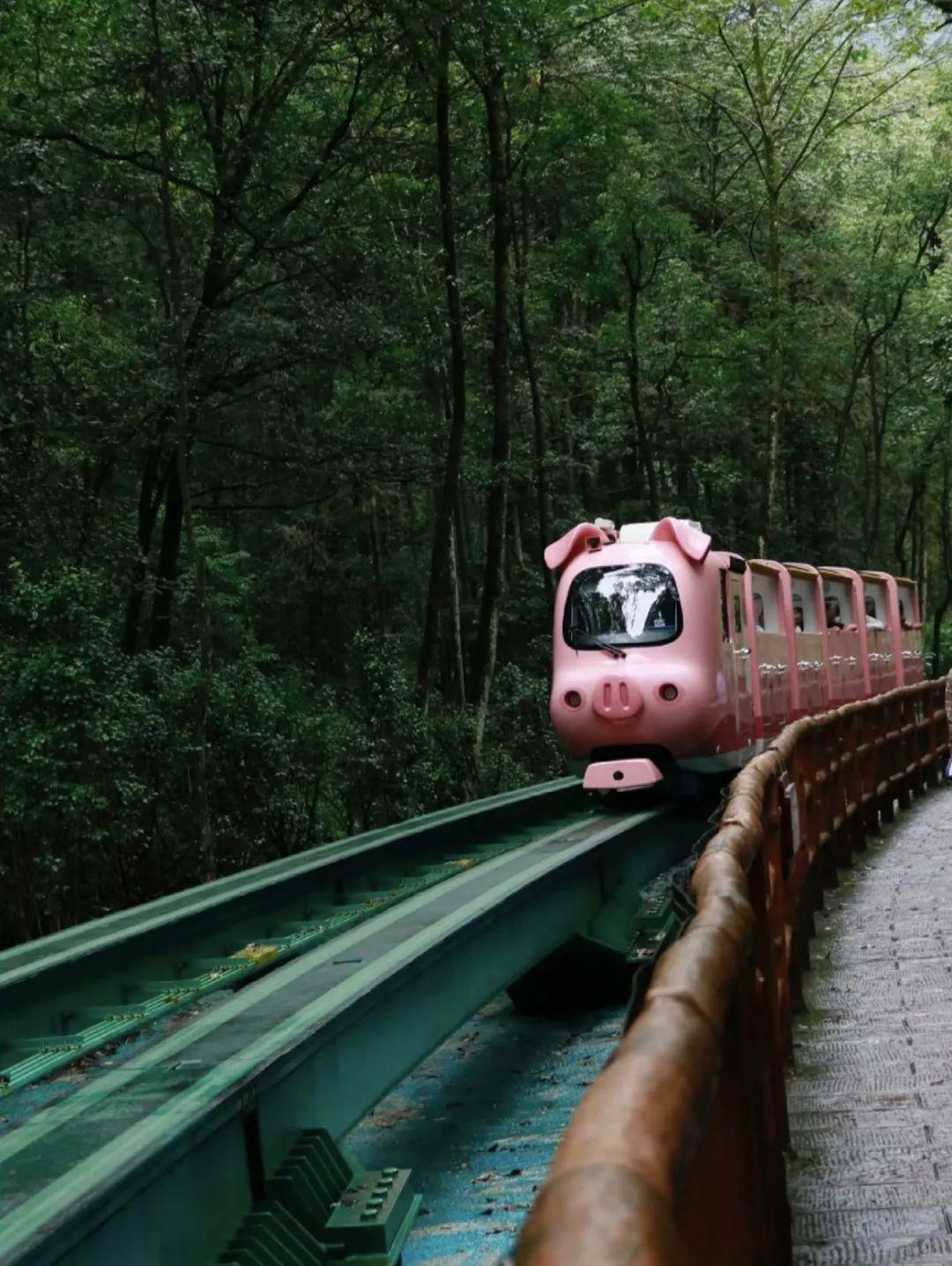 张家界攻略冬旅游天气如何_冬季张家界攻略_张家界冬天旅游攻略