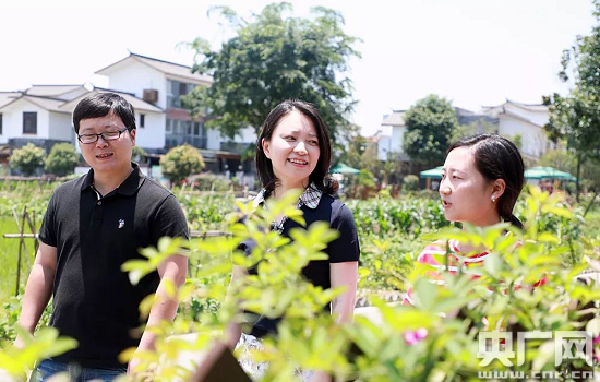 招聘农商银行金堂人员_金堂农商银行招聘_金堂县农商银行