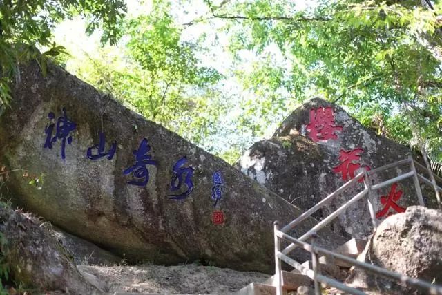 腾冲樱花谷旅游攻略_腾冲樱花谷好玩么_腾冲樱花谷风景区花期