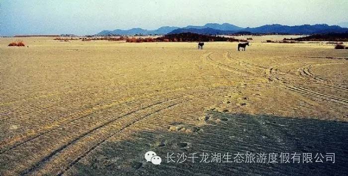 岳阳好玩的景点_岳阳有什么好玩的景点_岳阳游玩景点