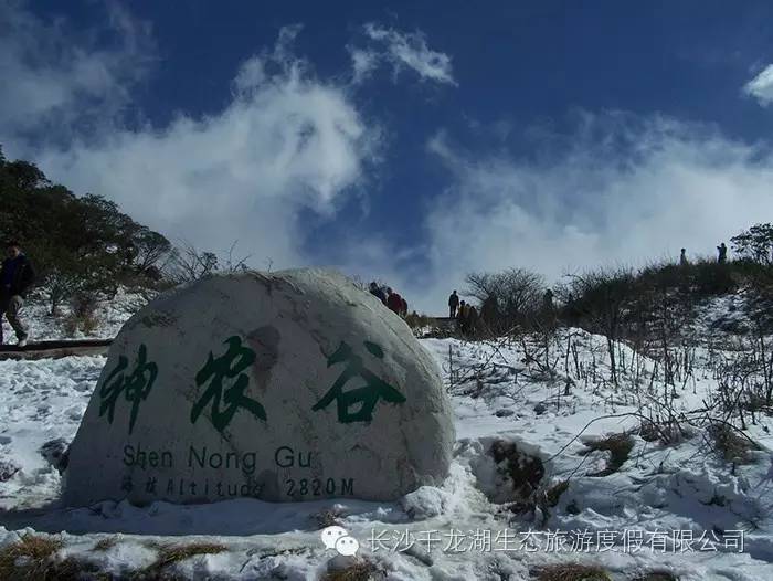 岳阳有什么好玩的景点_岳阳游玩景点_岳阳好玩的景点