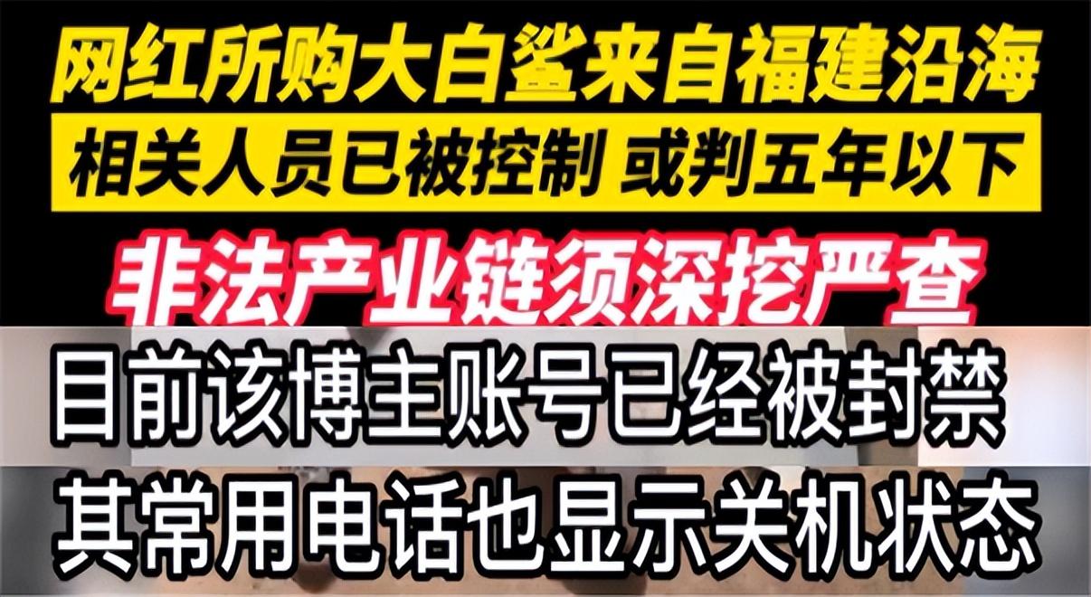 主播_yy主播最火女主播视频_阳西女主播阳西女主播