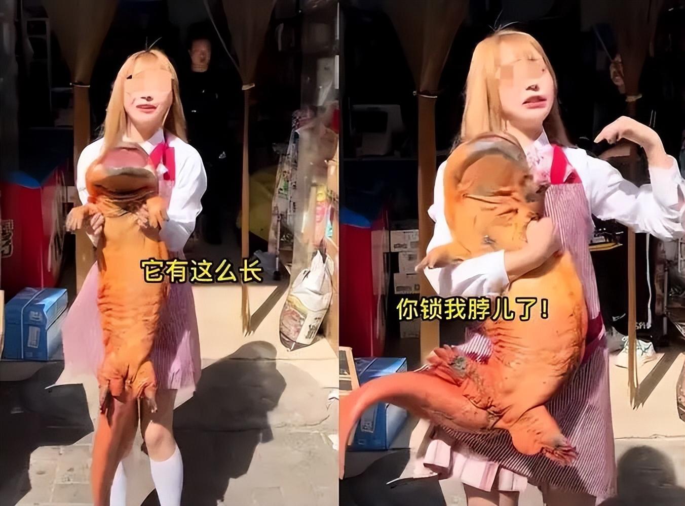 阳西女主播阳西女主播_yy主播最火女主播视频_主播