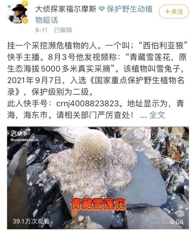 主播_阳西女主播阳西女主播_yy主播最火女主播视频