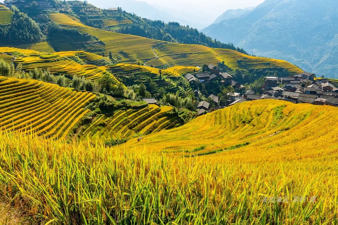 龙胜旅游攻略自由行_龙胜旅游景点_龙胜旅游攻略